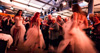 images/FLE_3545.jpg